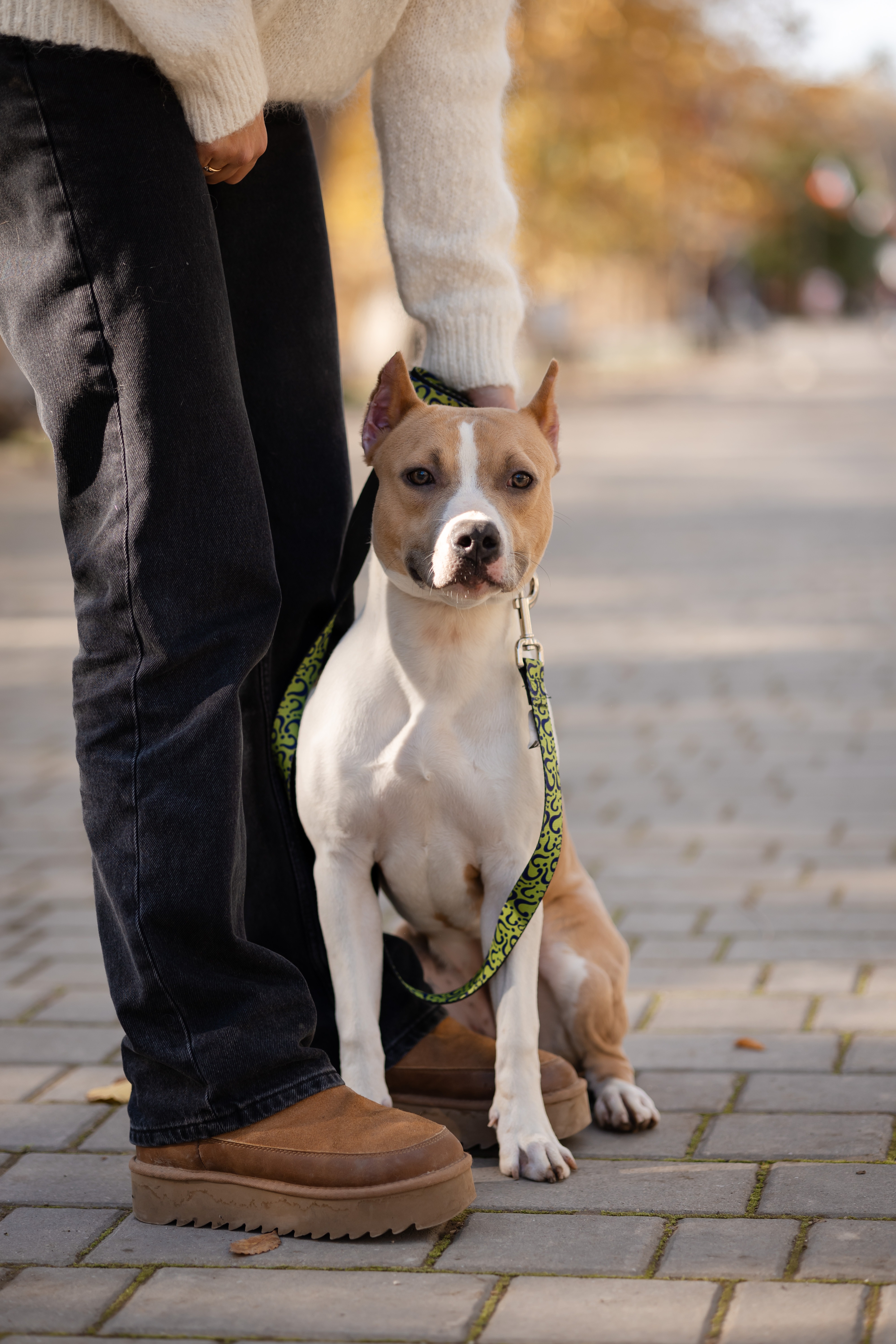 Подробнее о статье Смузи — 05.05.2025 girl